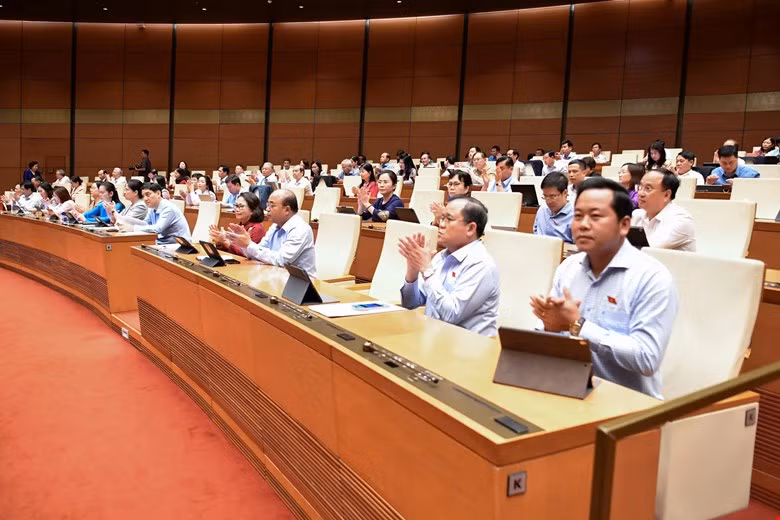 Quốc hội thông qua Luật Tham gia lực lượng gìn giữ hoà bình của Liên hợp quốc -0
