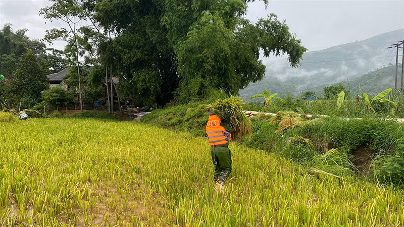 Công an xã Dương Quỳ chủ động ứng phó, giúp dân khắc phục hậu quả mưa lớn -1