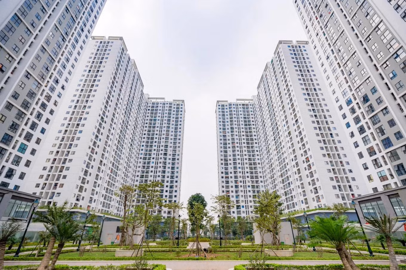 Không đặt cọc hoặc chuyển tiền cho cá nhân, tổ chức tự xưng có 