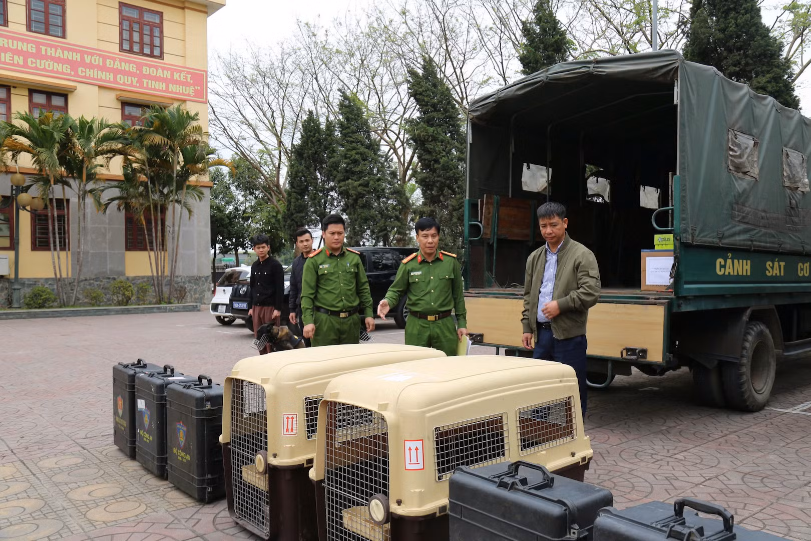 Cảnh sát cơ động cùng chó nghiệp vụ tham gia Đội cứu nạn, cứu hộ của Bộ Công an tại Myanmar -0