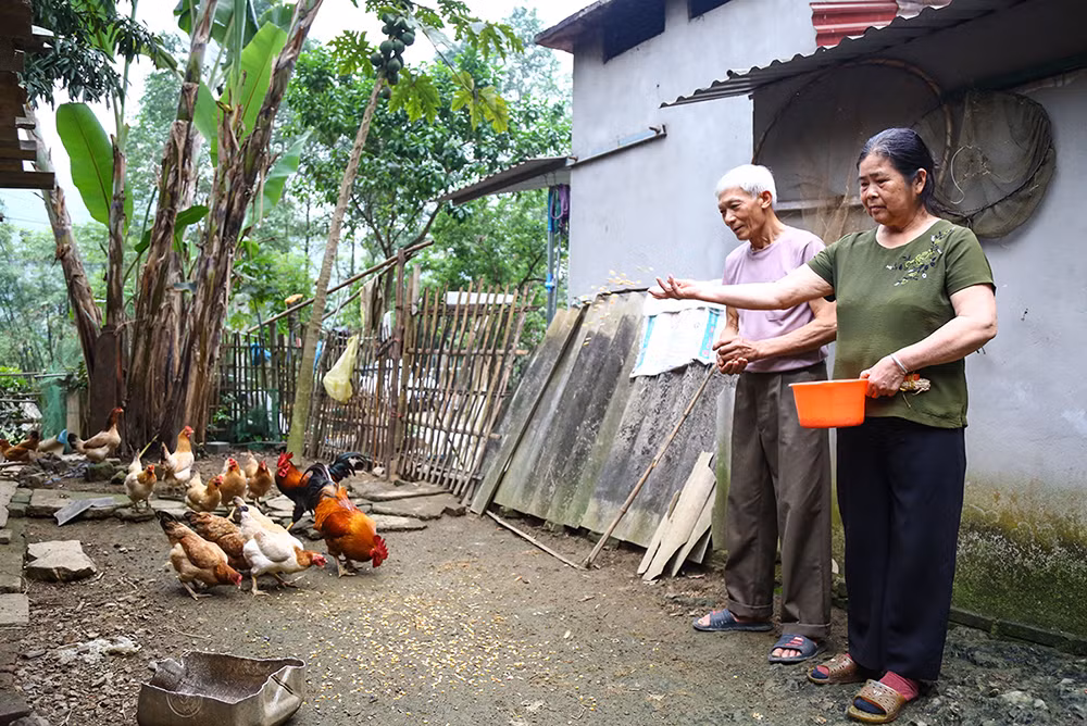 Đêm Noel bi hùng và những phận người đi qua cuộc chiến -0