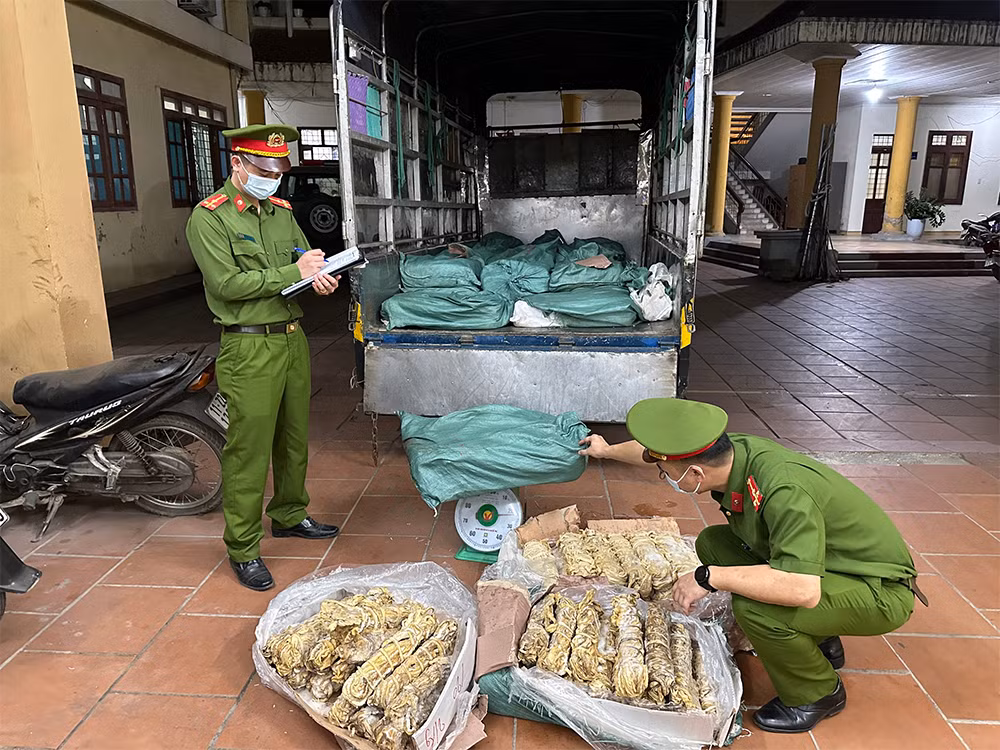 Cao Bằng: Phát hiện hơn nửa tấn lòng lợn bốc mùi hôi thối -0