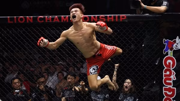 Tận hưởng võ thuật từ những trận MMA