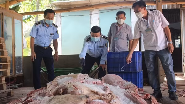 Ngăn chặn hơn 1,7 tấn thịt lợn bốc mùi chuẩn bị đưa vào các bếp ăn