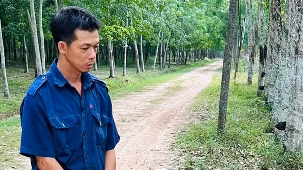 Giả vờ hỏi mua phân bò rồi chích roi điện, giật dây chuyền