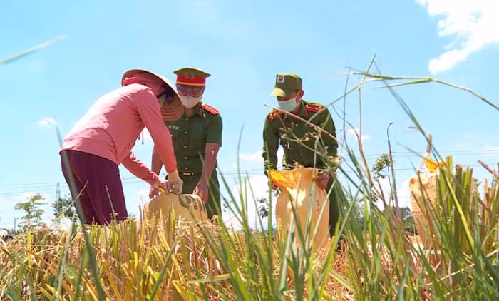ĐB trang 28: Chuyện “bất ngờ” ghi được ở Hoà Vang -0