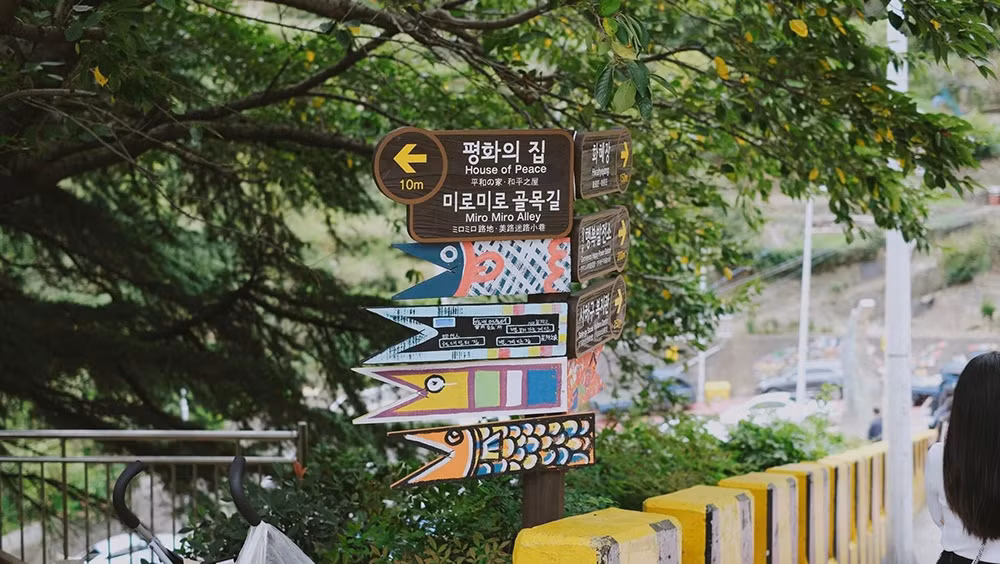Vietjet chào đường bay mới Đà Lạt – Busan với vé chỉ từ 0 đồng -0