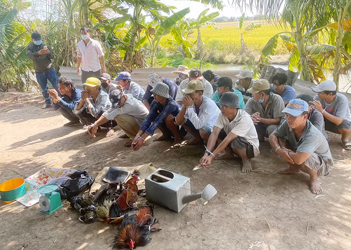 Kéo giảm tệ nạn cờ bạc ở Tây Nam Bộ -0