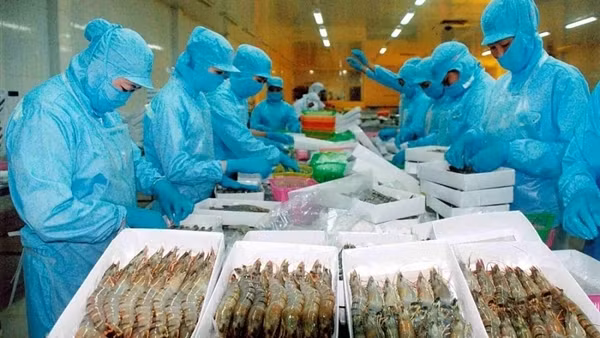 Cơ hội cho xuất khẩu thực phẩm