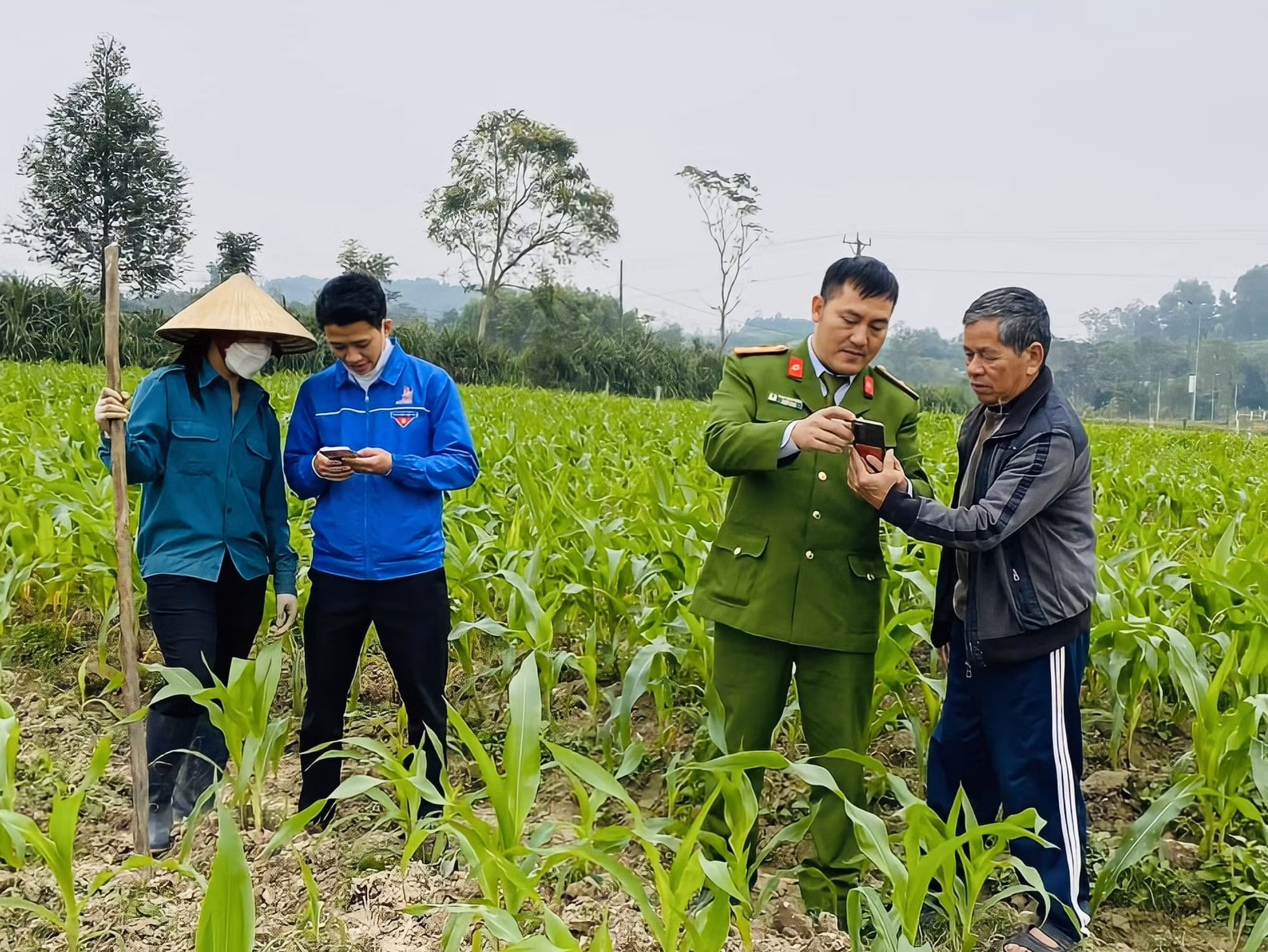 Phát huy vai trò của Đoàn Thanh niên trong chuyển đổi số -0