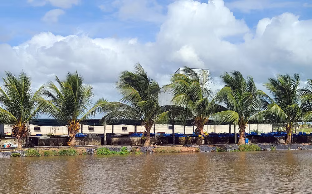 mohinh 4.jpg -2