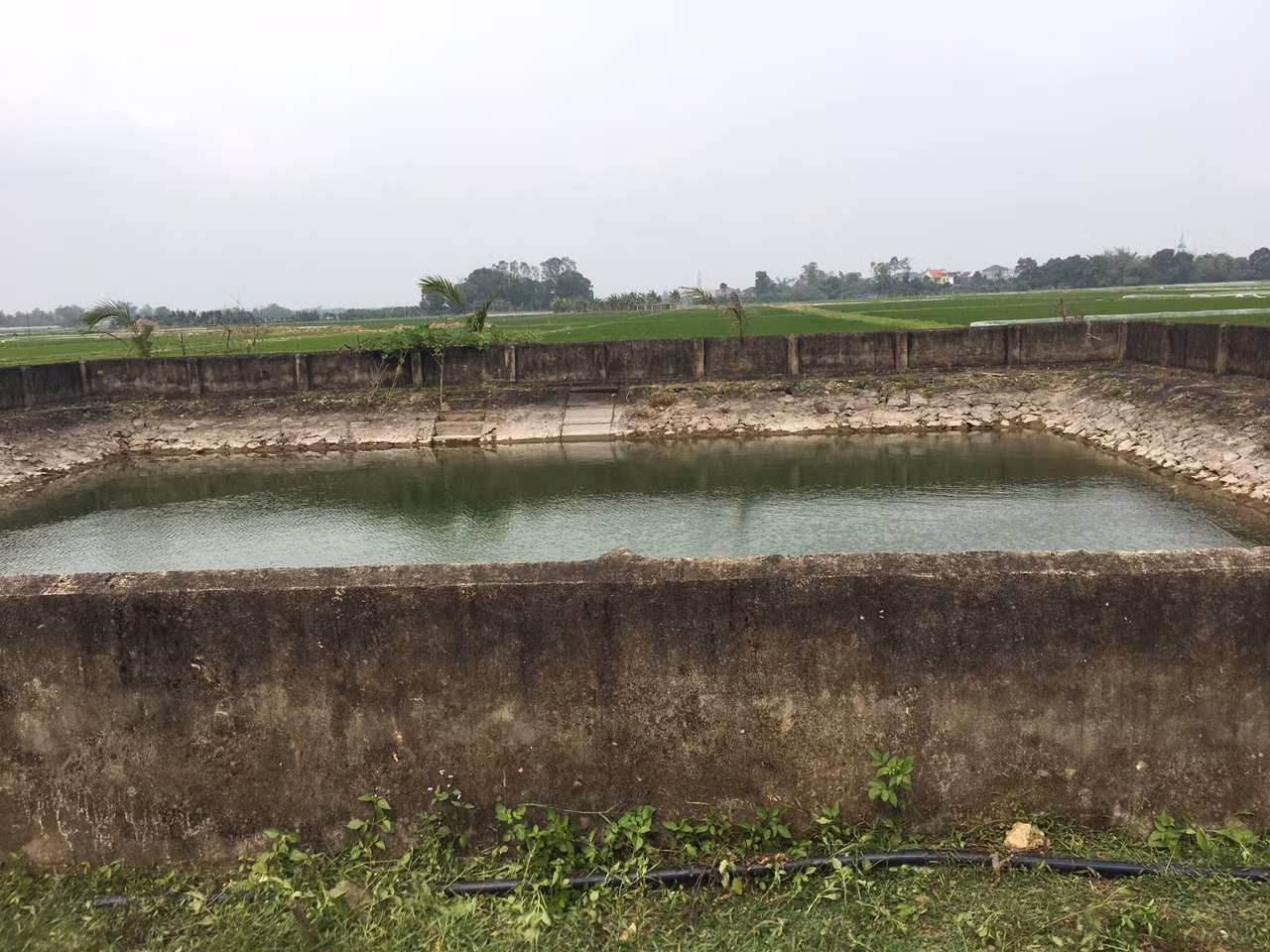 Hai anh em cùng cháu ruột đuối nước trong giếng làng -0