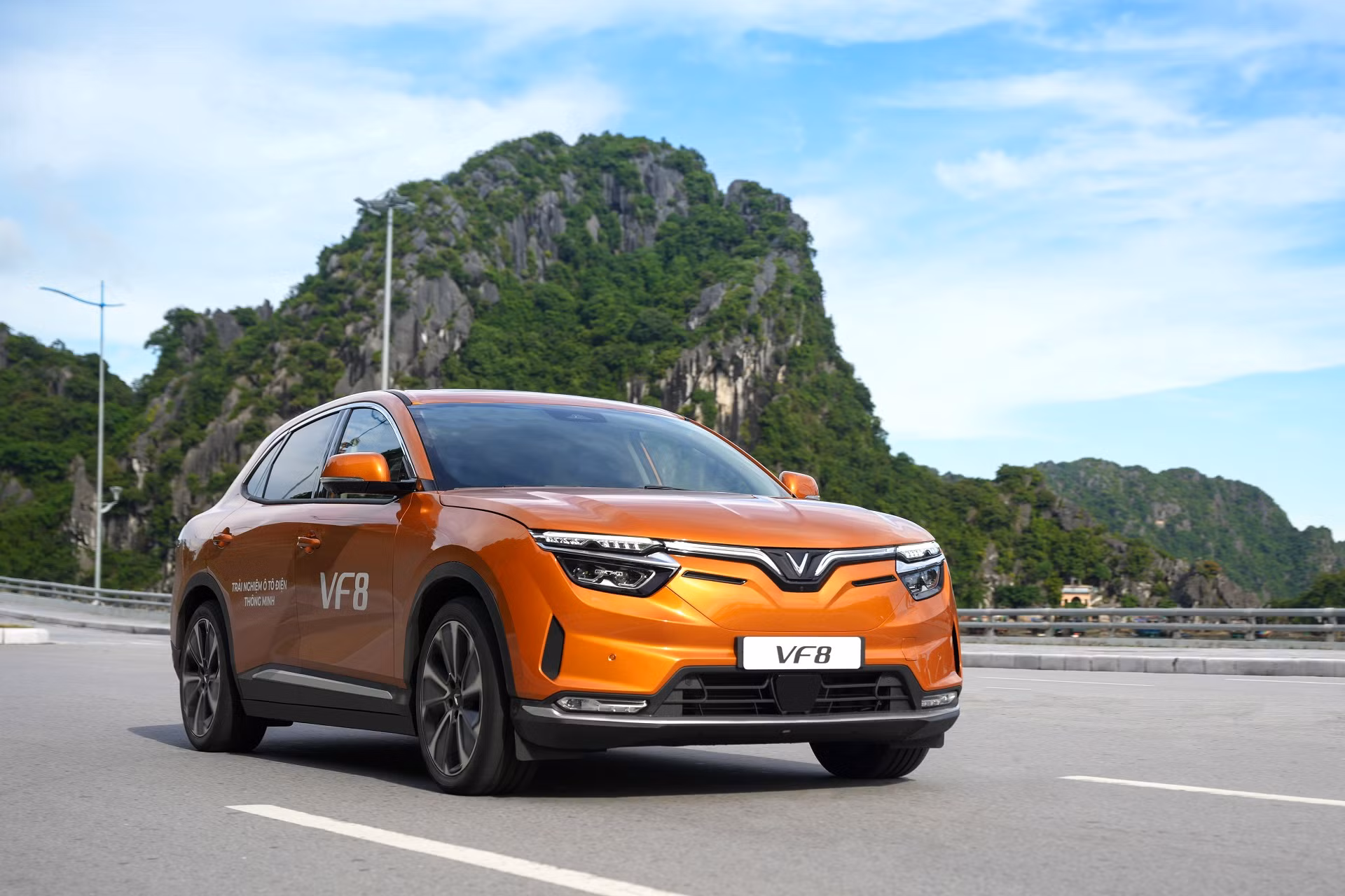 Vingroup thành lập công ty cho thuê xe và taxi điện VinFast -0