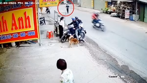 Khuyến cáo thủ đoạn dàn cảnh trộm xe ở Bình Dương