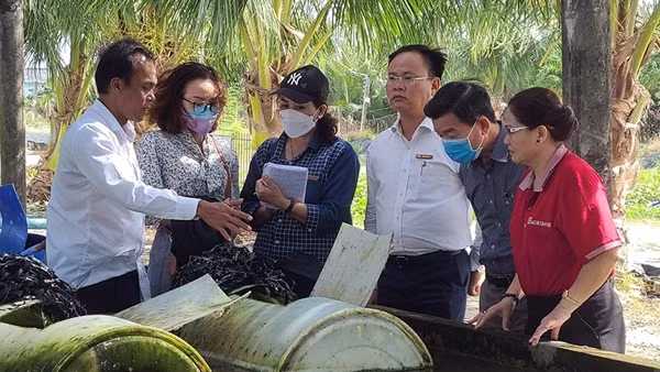 Mô hình nuôi lươn tuần hoàn nổi có sự đồng hành vốn của Agribank TP Bạc Liêu