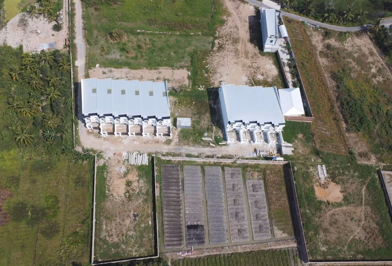 Kỳ lạ chuyện 10 căn phố có mặt tiền hướng ra ruộng, vườn ở Vĩnh Long -0