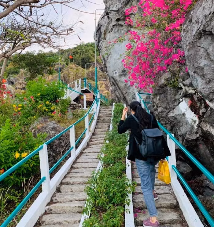  Tháng 3, rực sáng đồi thiêng -1