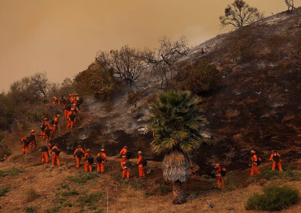 Cháy tại California: Gần 1.000 tù nhân tham gia chữa cháyy, Ukraine đề nghị giúp đỡ -0