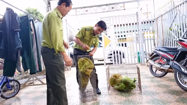 Nói không với sử dụng động vật hoang dã trái phép