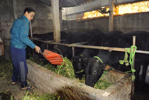 Nâng bước xây dựng nguồn nhân lực chất lượng cao cho kỷ nguyên mới -0