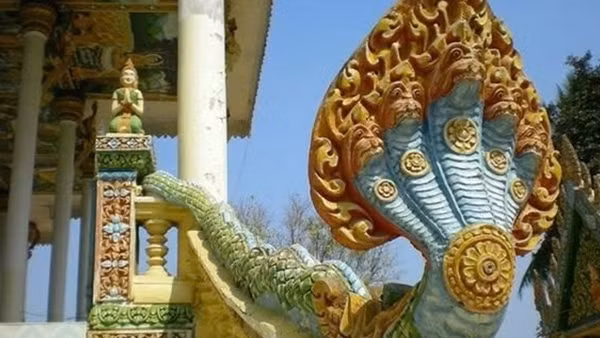 Ất tỵ nói chuyện về rắn trong tâm thức Việt