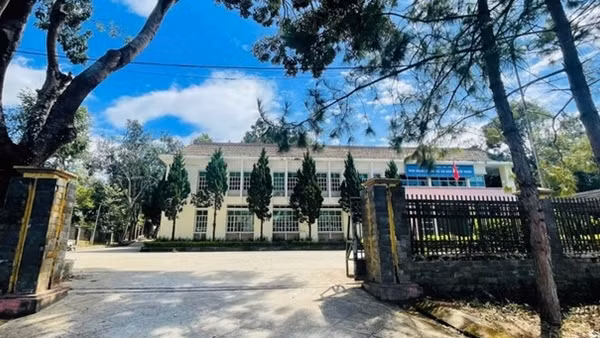 Buộc thôi việc Phó Ban Quản lý các dự án xây dựng tỉnh Đắk Nông vì dùng bằng giả