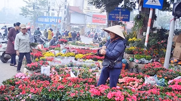 Đường xuân bốn mùa hoa