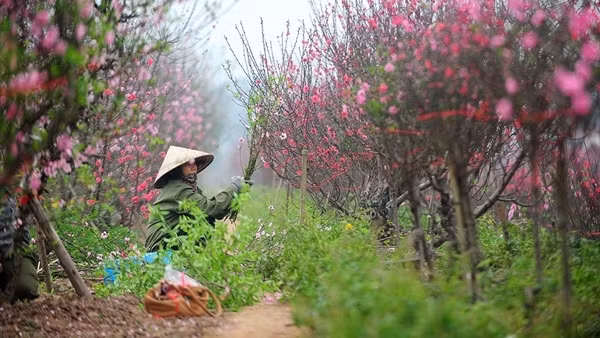 Đón thêm không khí lạnh, Bắc Bộ trời tiếp tục rét