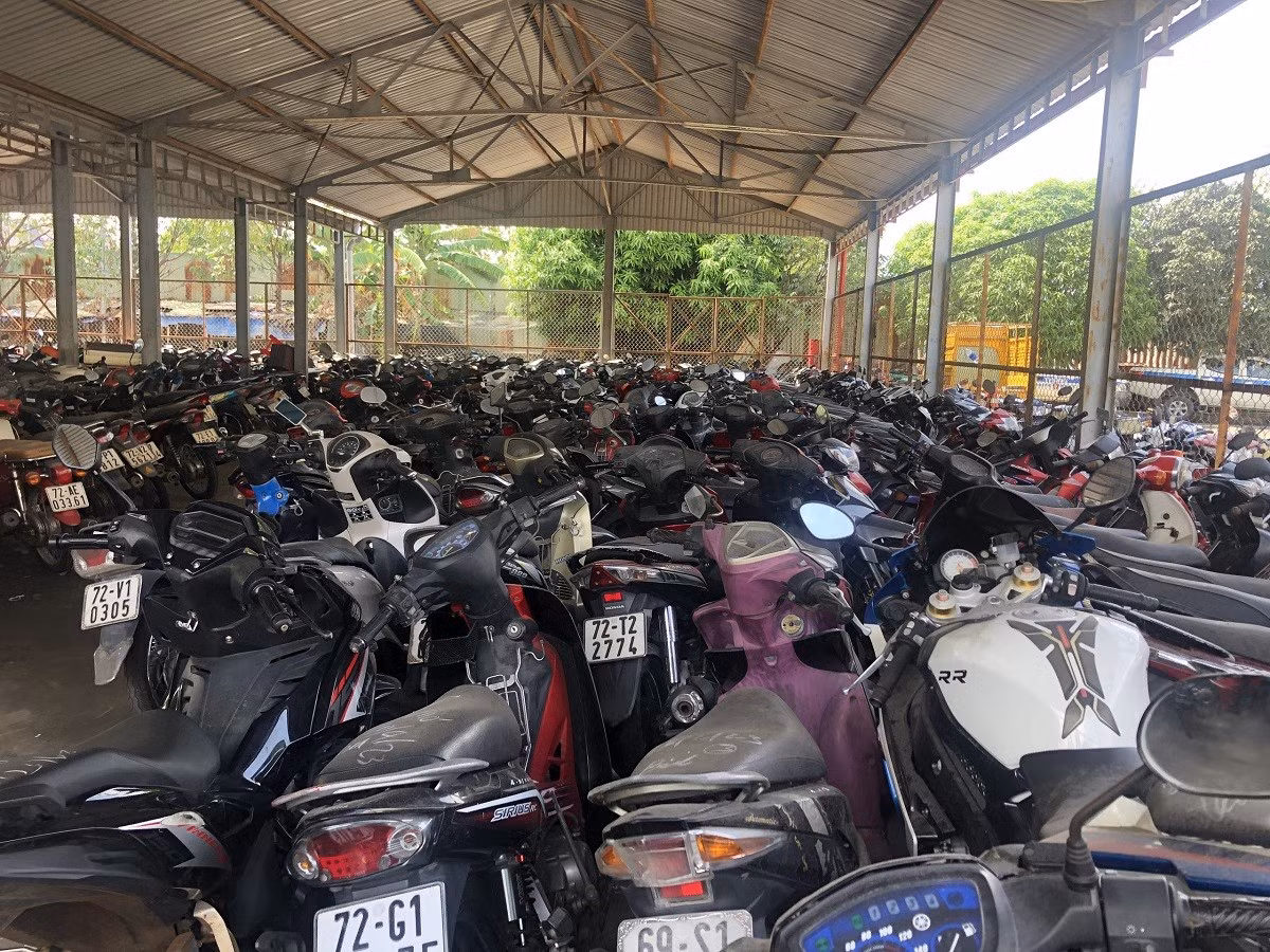 Khai trương trang thông tin đấu giá tài sản vi phạm hành chính -0