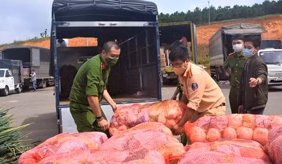 Công an các tỉnh miền Tây hỗ trợ nông dân tiêu thụ trái cây ảnh 5