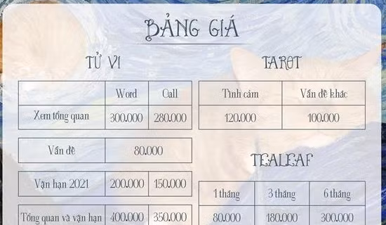 Dùng chiêu xem bói rồi lừa mua cổ phiếu chiếm đoạt hơn 400 triệu đồng ảnh 3