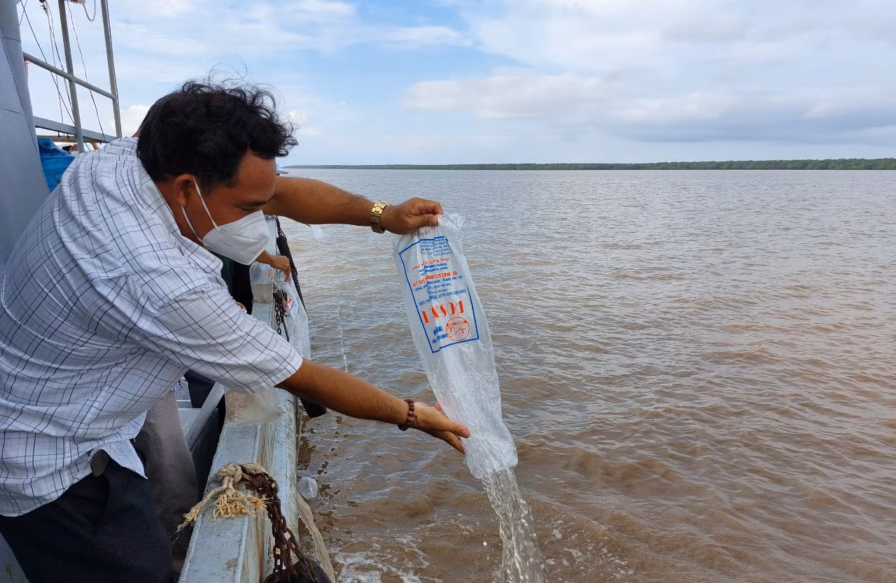 Sóc Trăng thả 3 triệu con tôm giống về biển -1