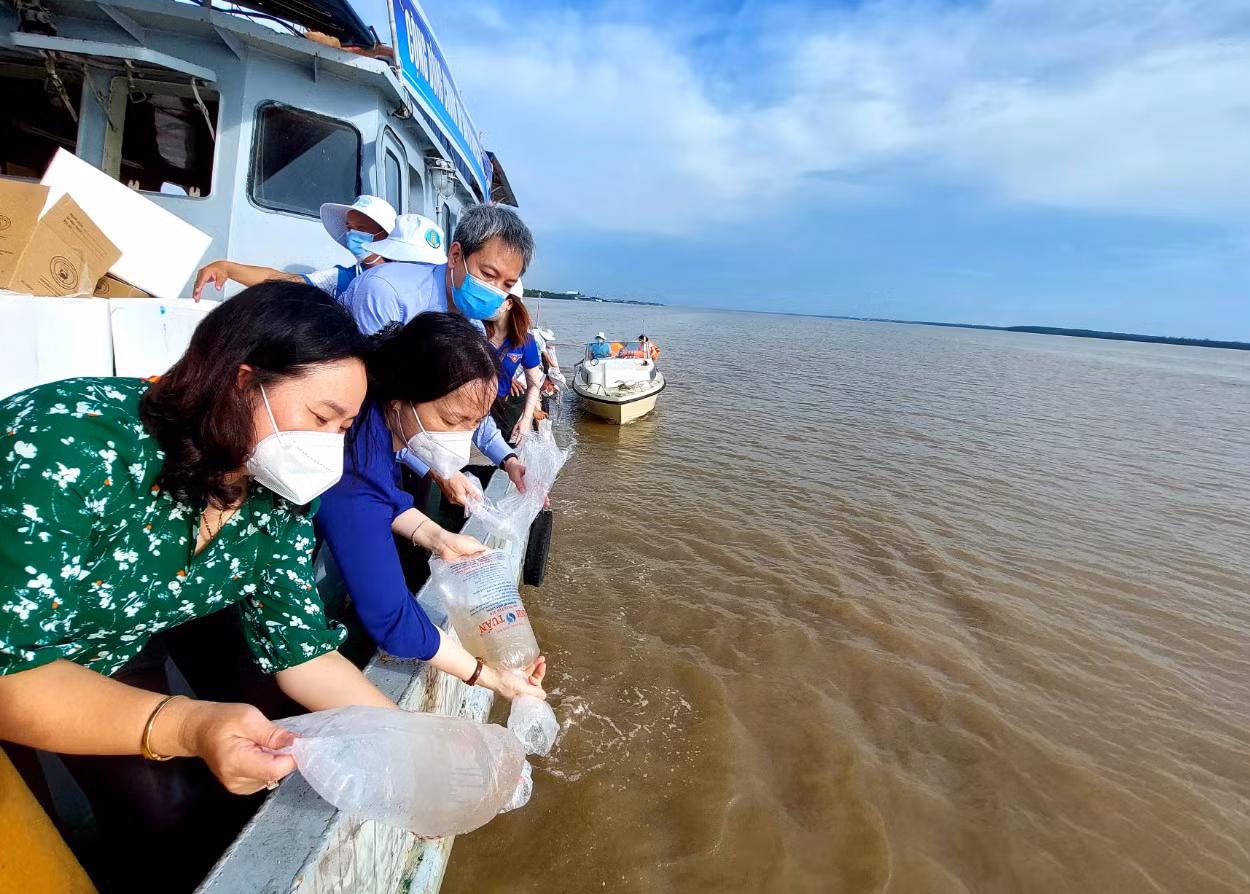Sóc Trăng thả 3 triệu con tôm giống về biển -0