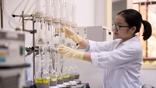 Cần chính sách đồng bộ trong thu hút, trọng dụng nhân tài
