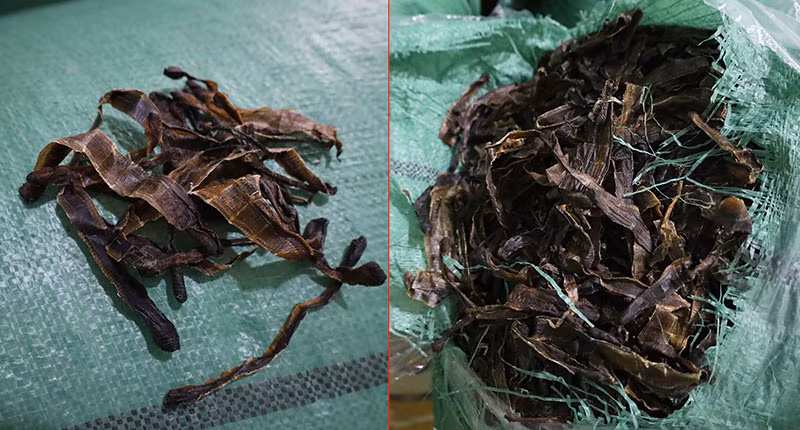 Thu giữ hơn 1 tấn giun đất khô không rõ nguồn gốc -0