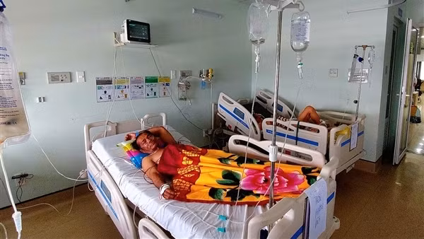 Ba ngư dân thương vong nghi do ngộ độc cá nóc