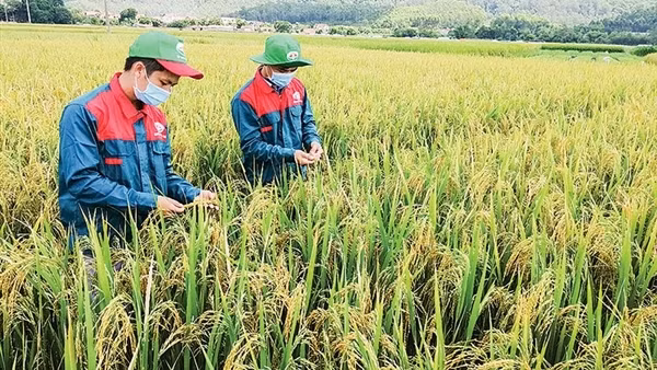 Chuyển đổi sản xuất xanh để bắt kịp xu hướng thế giới