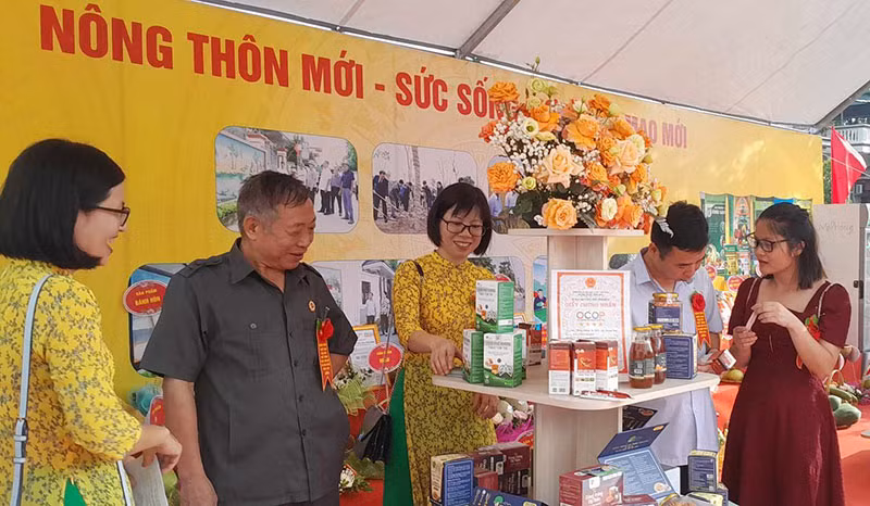 Làng văn hóa kiểu mẫu đầu tiên của Vĩnh Phúc được khánh thành -2