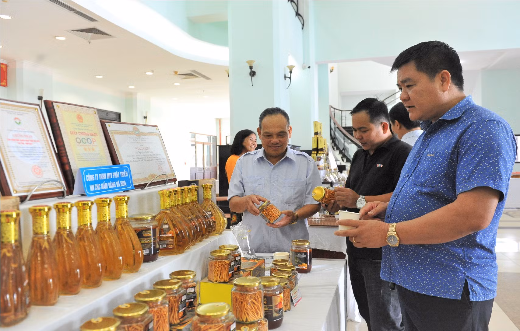 TP Hồ Chí Minh và Tây Nguyên hợp tác phát triển -0