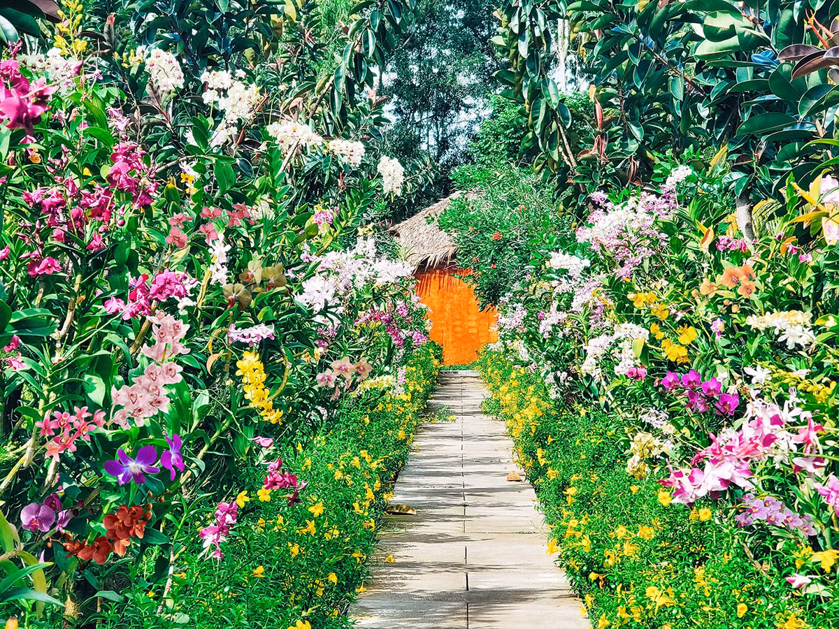 Chiêm ngưỡng bức tranh “cẩm thạch”&nbsp; Trà Sư -0
