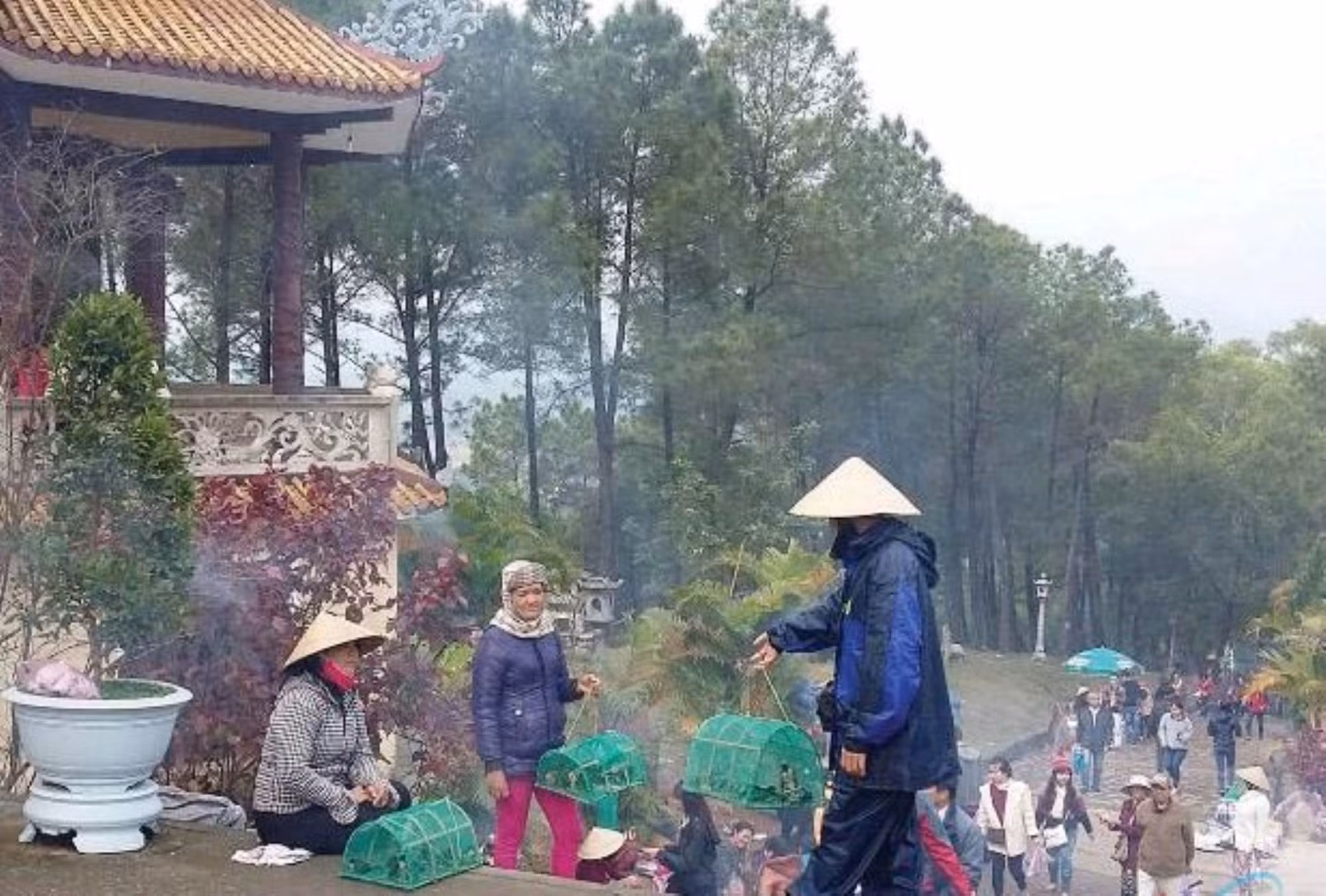 Thừa Thiên Huế khuyến cáo không mua, bán chim hoang dã để phóng sinh -0