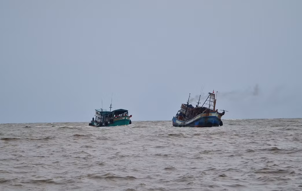 Nhiều kết quả tích cực trong chống khai thác IUU tại tỉnh cực Nam Tổ Quốc -0