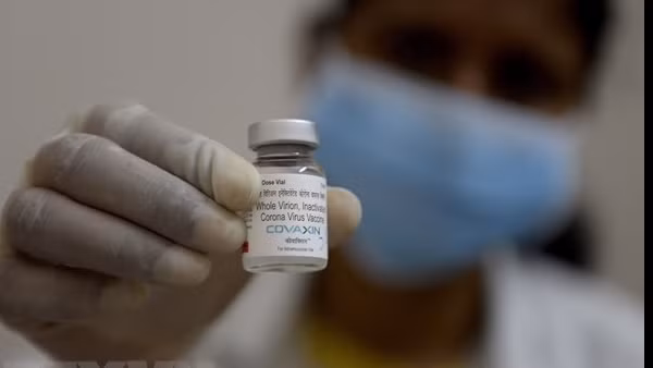 Chính phủ Argentina trao tặng Việt Nam 500.000 liều vaccine AstraZeneca ảnh 4