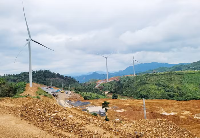 Ruộng lúa, hoa màu bị bồi lấp do thi công công trình điện gió -0