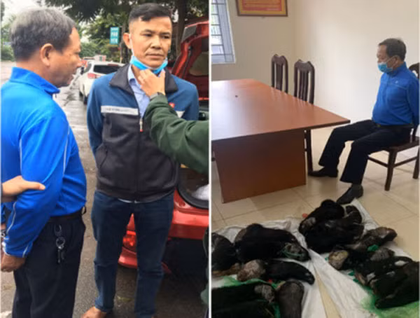 Phát hiện 2 đối tượng buôn bán động vật quý hiếm tại quán cà phê -0