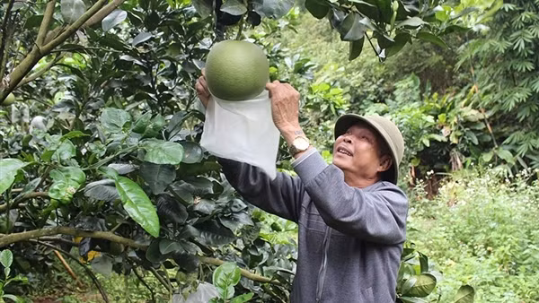 “Sỏi đá” có “thành cơm”? ảnh 3