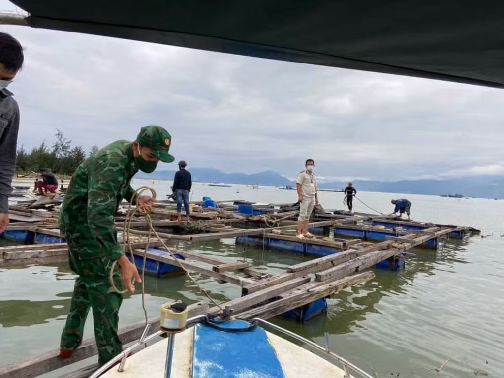 Đà Nẵng: Mạnh tay xử lý tình trạng nuôi thủy sản lồng bè trái phép gây ô nhiễm môi trường -0