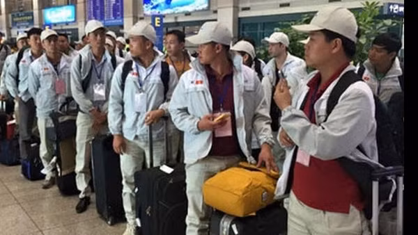 Tuyển dụng lao động "ấm" dần dịp cuối năm ảnh 3