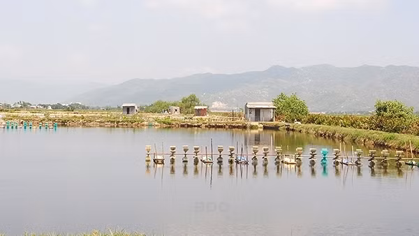 Hơn 140 tiểu thương lao đao vì… dải phân cách ảnh 2