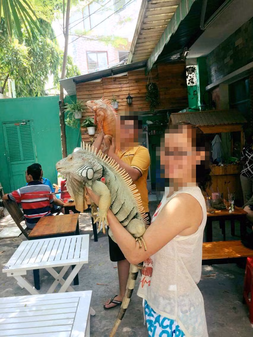Thú chơi dị biệt - không đơn giản! -0